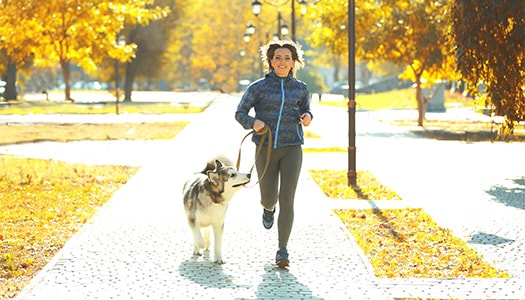 Bild: Fitness für Hund & Halter