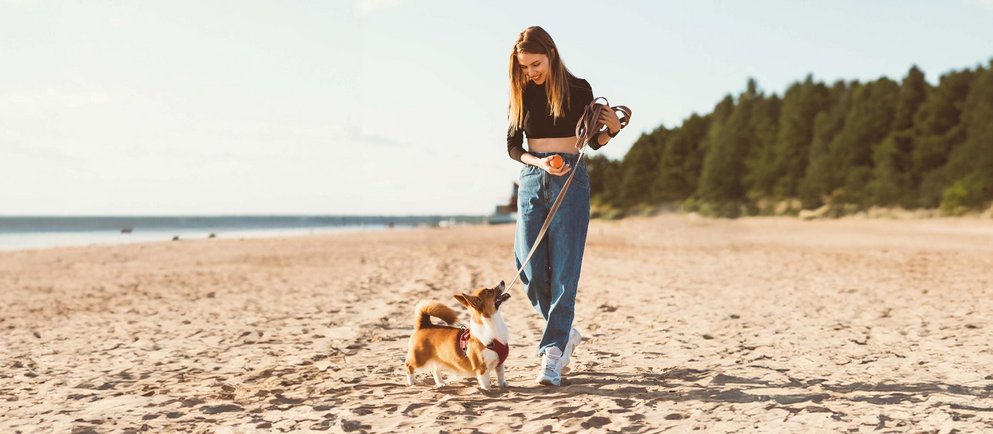 Mehr Informationen zu Karrieremöglichkeiten bei der Firma Sagaflor AG