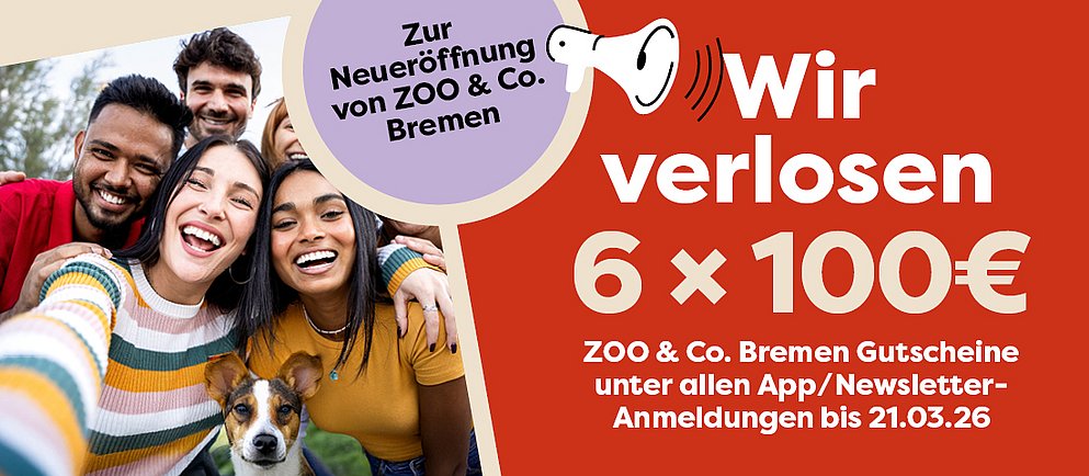 Bremen Gewinnspiel Informationen