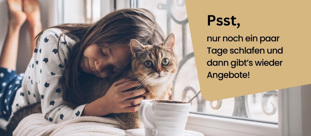 Kind mit Katze wartet gespannt auf bevorstehende Angebote – Teaserbild zur Rabattaktion