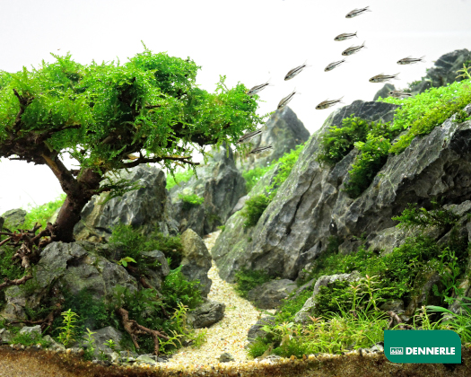 Ein Fluß führt durch eine steinige Landschaft