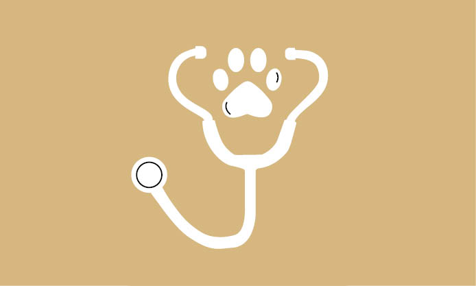 Alles rund um dein Haustier im ZOO & Co. Tierfachmarkt