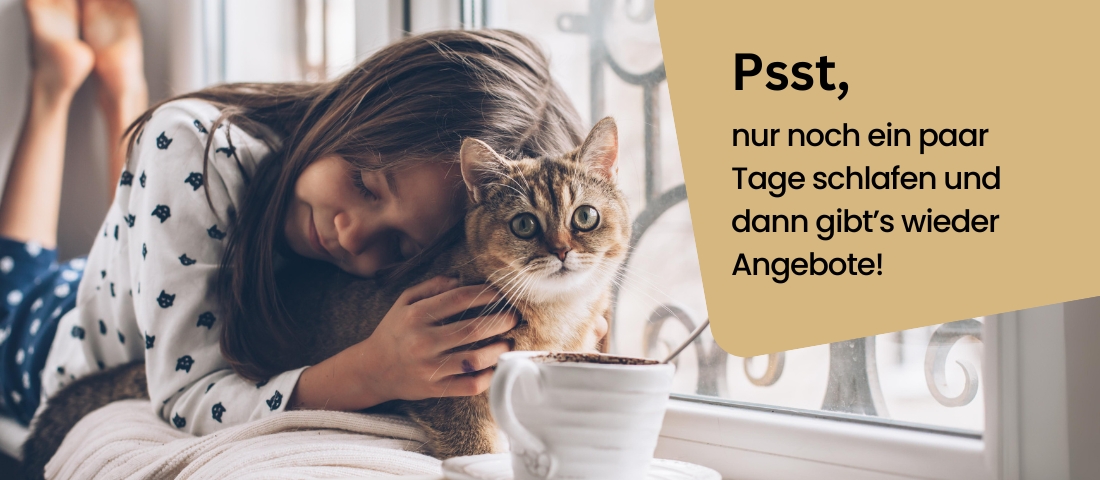 Kind mit Katze wartet gespannt auf bevorstehende Angebote – Teaserbild zur Rabattaktion