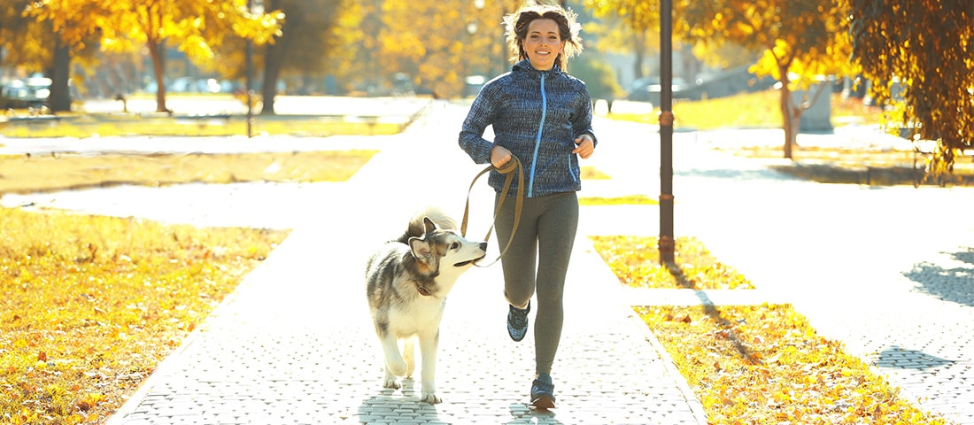 Wellness und Fitness mit dem Hund